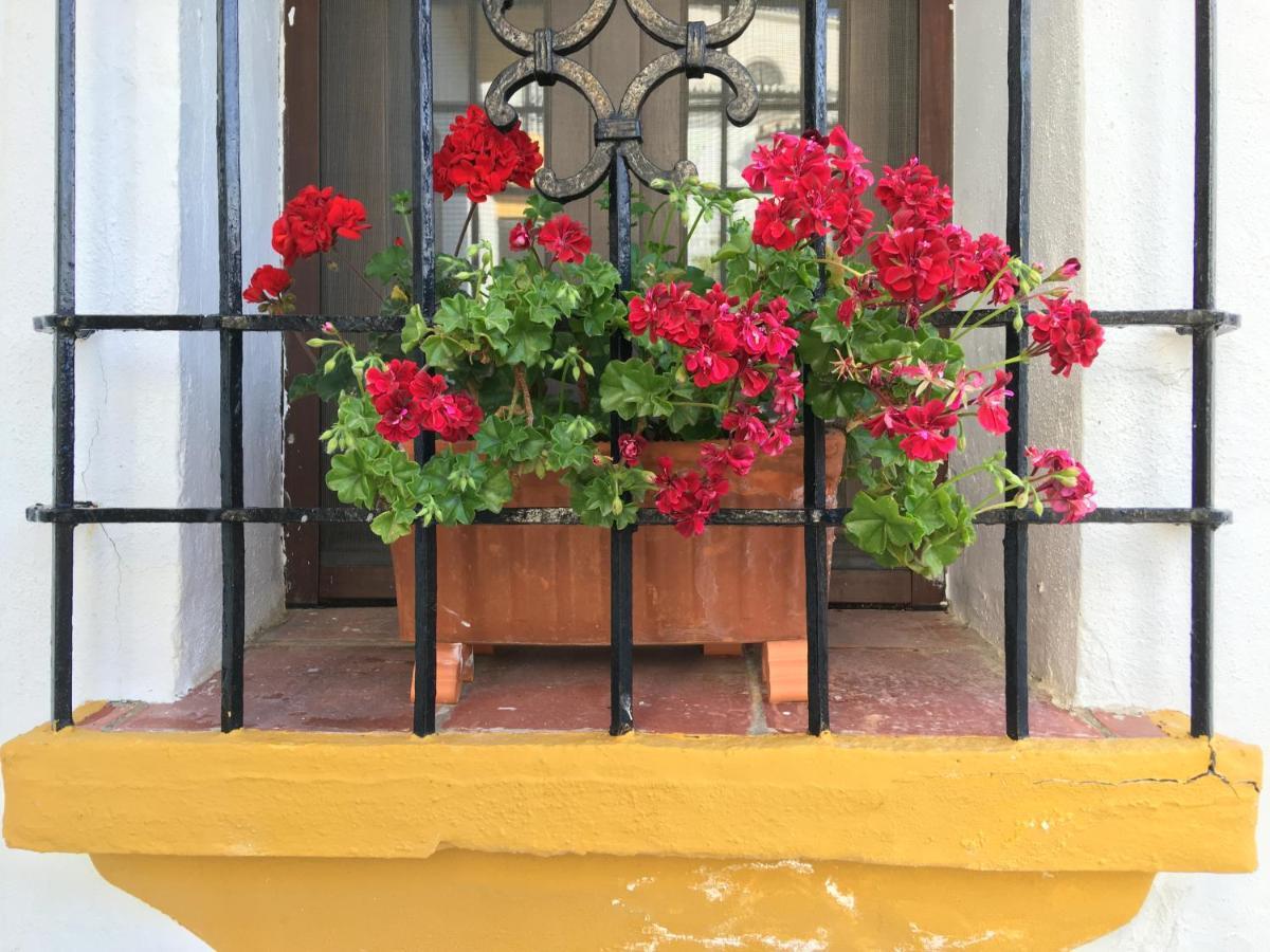 La Escondida Ronda, B&B ภายนอก รูปภาพ
