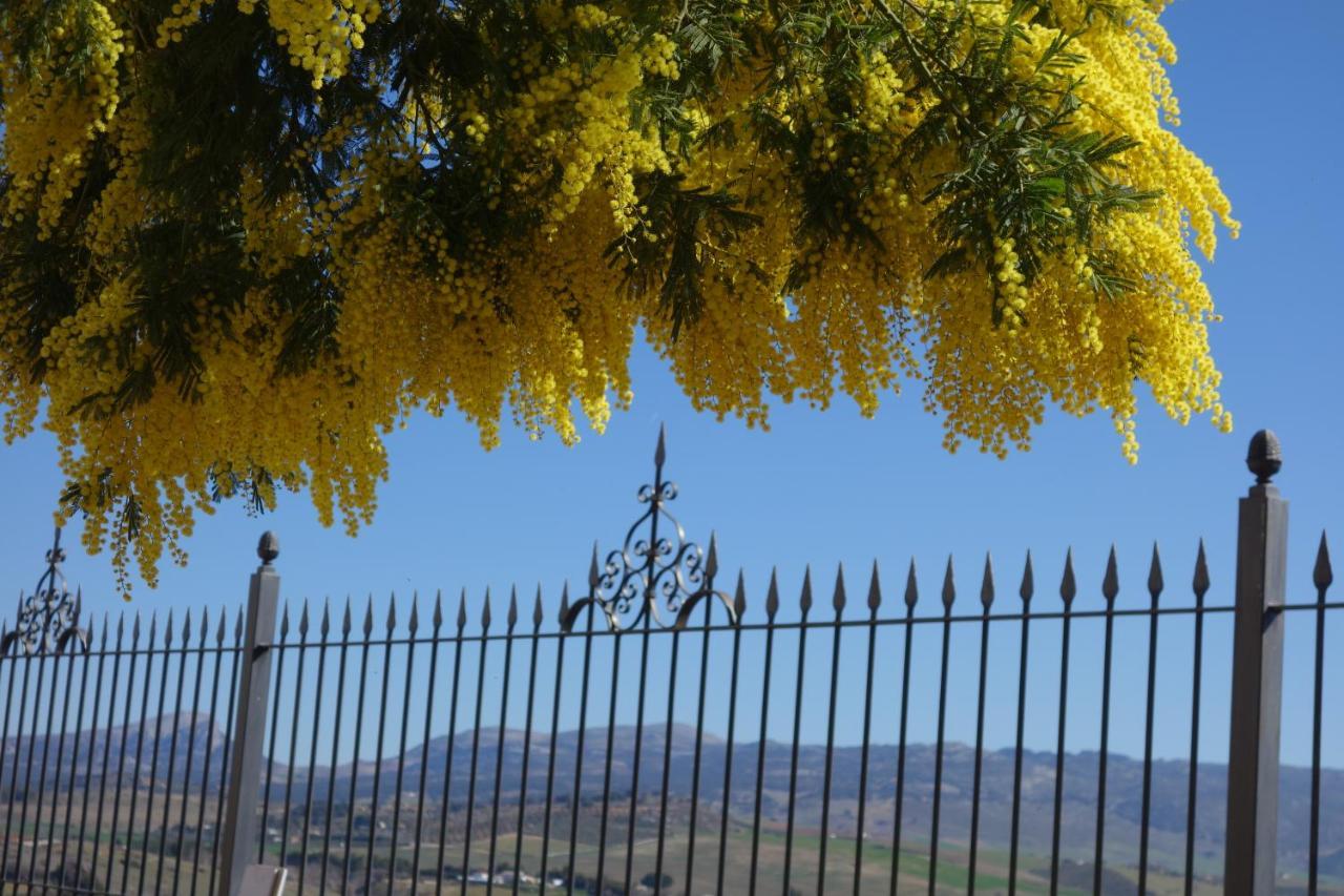 La Escondida Ronda, B&B ภายนอก รูปภาพ